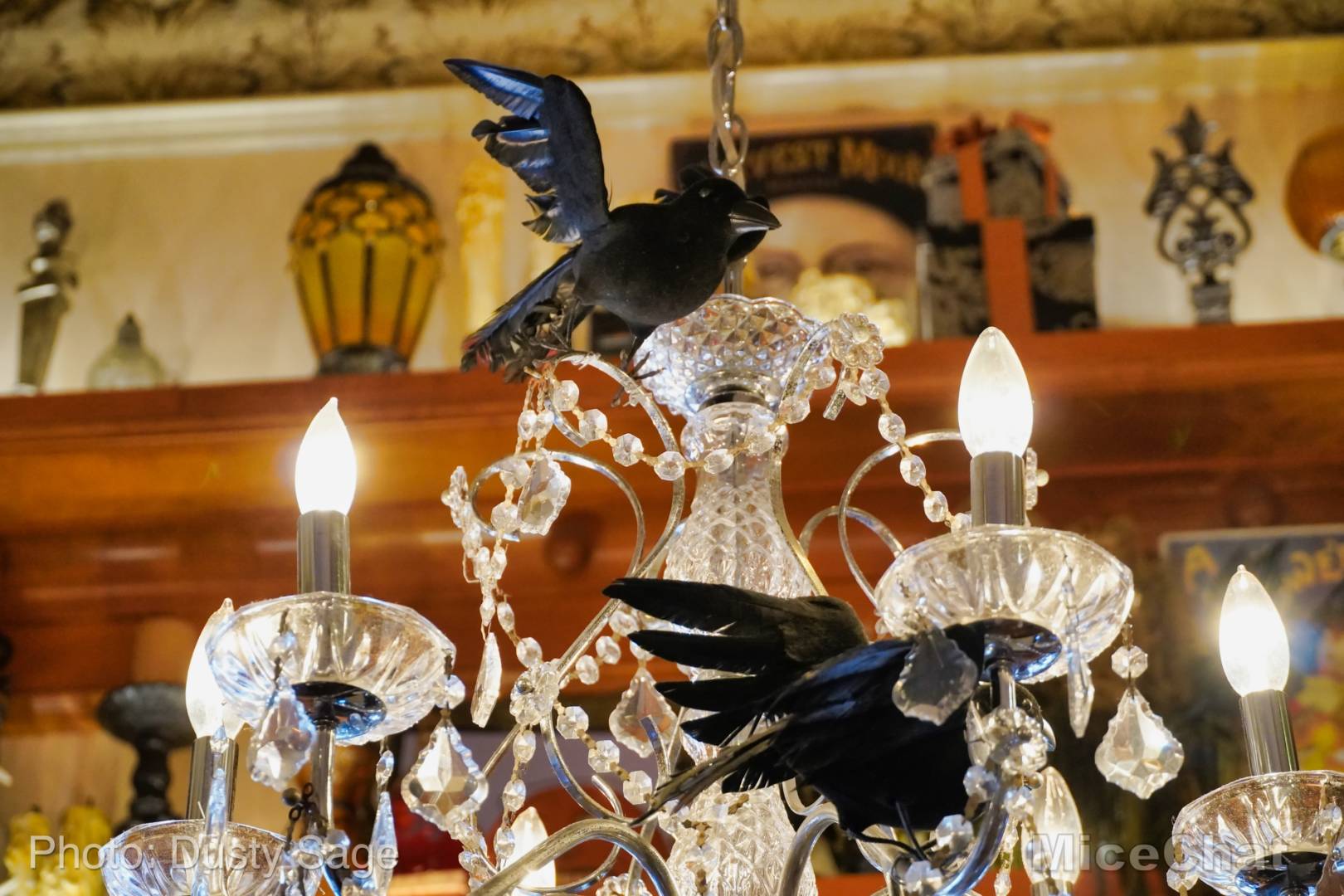 , Disneyland Update – Halloween Screams Into Disneyland