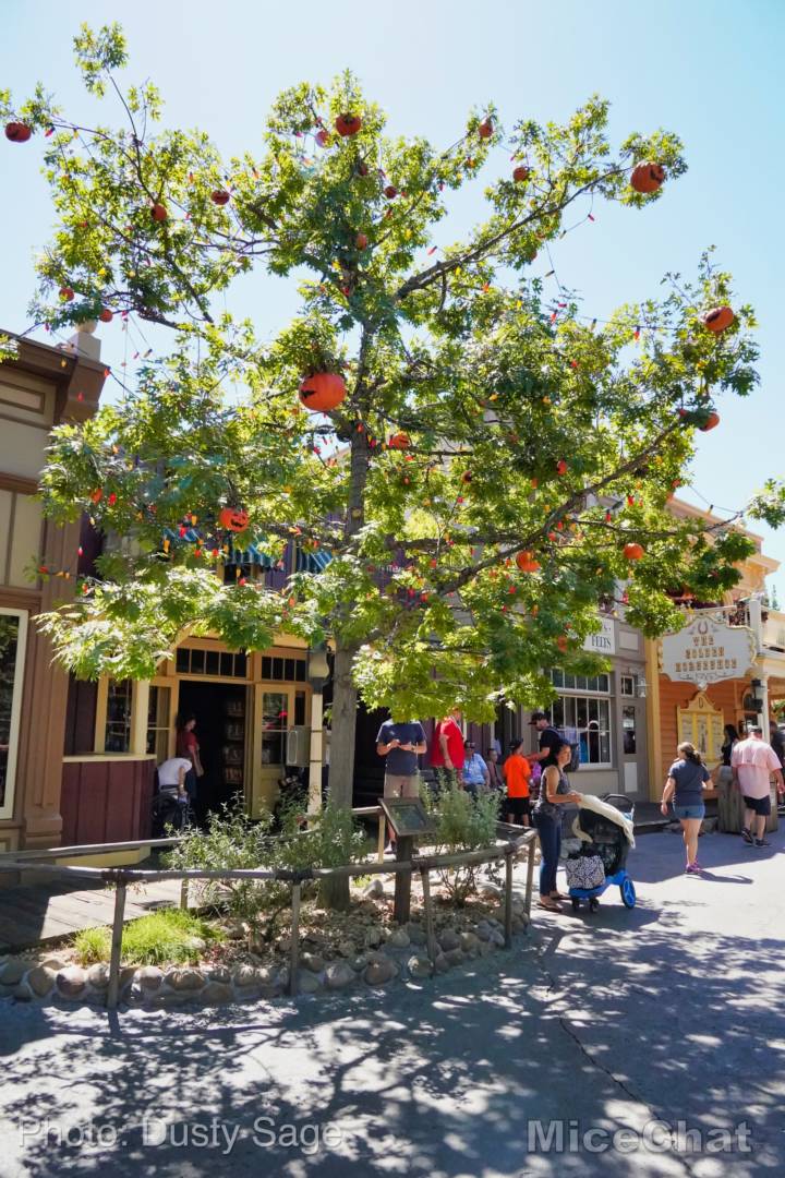 , Disneyland Update – Halloween Screams Into Disneyland