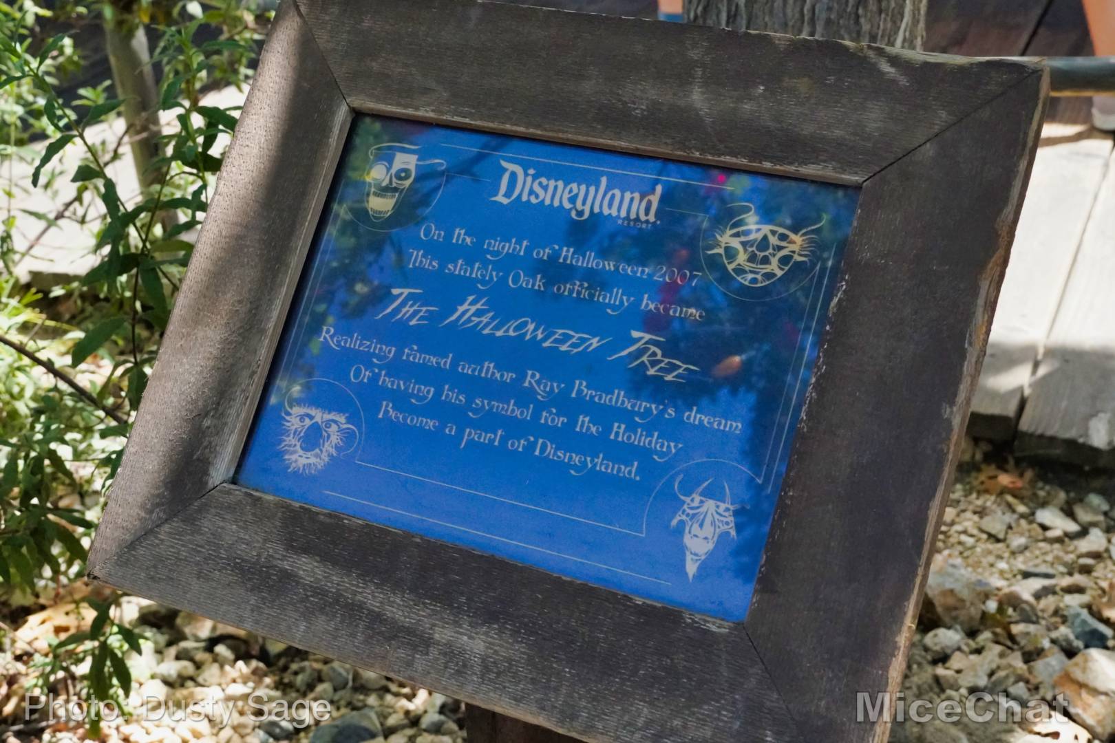 , Disneyland Update – Halloween Screams Into Disneyland