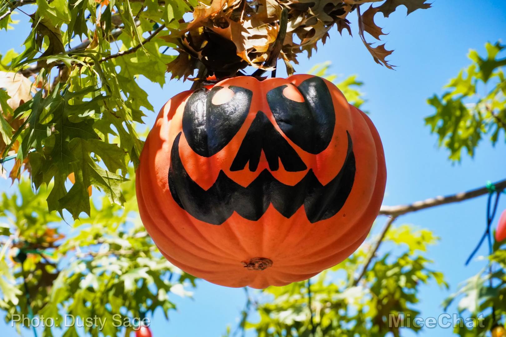 , Disneyland Update &#8211; Halloween Screams Into Disneyland