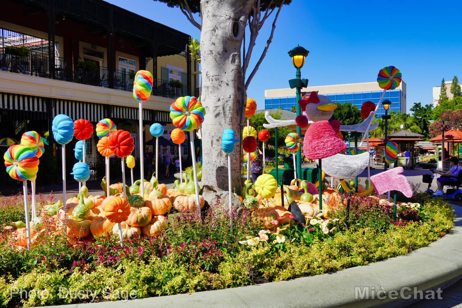 , Disneyland Update – Halloween Screams Into Disneyland