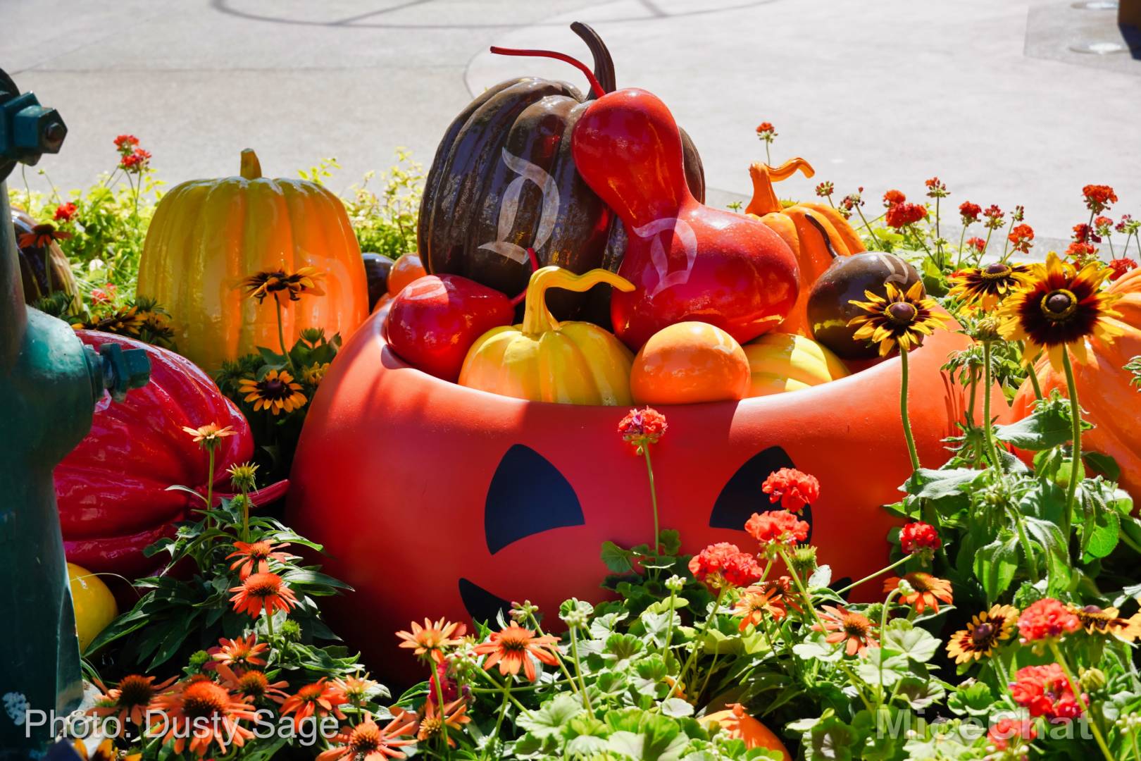 , Disneyland Update &#8211; Halloween Screams Into Disneyland