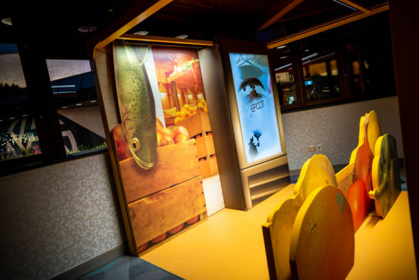 , Dateline Disney World – NEW Epcot Experience and Epcot Forever Spectacular