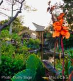 Disneyland-News-Adventureland-Sign-Distance-3