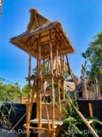 Disneyland-News-Adventureland-sign-tower