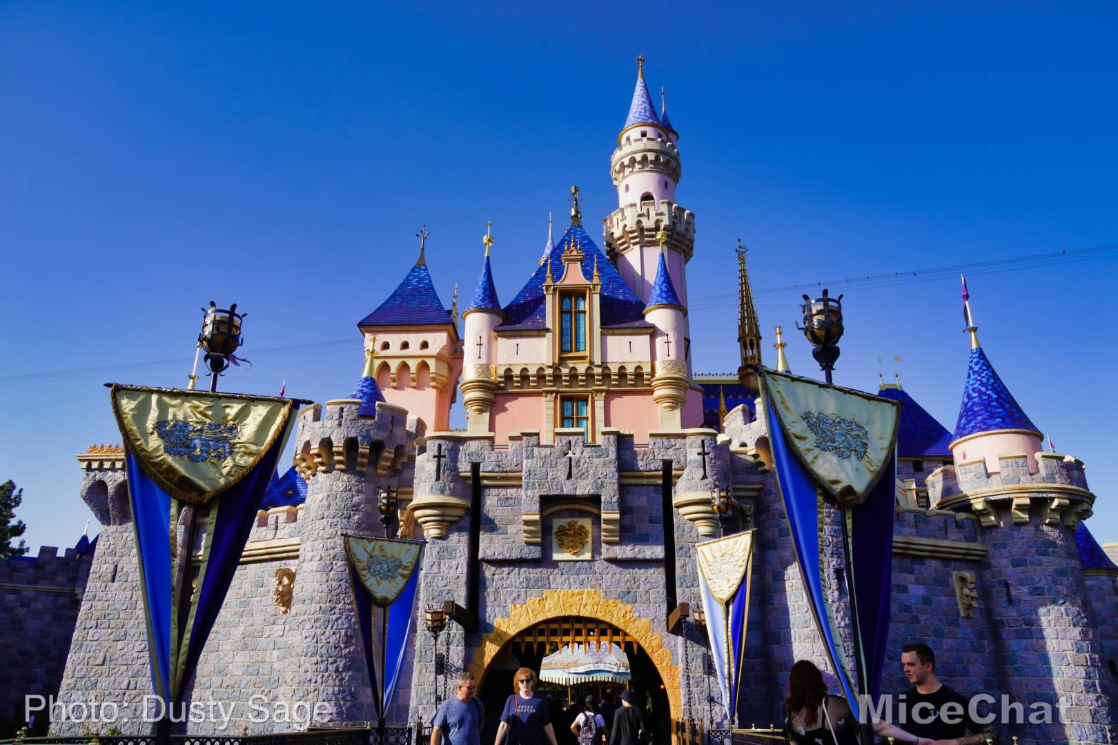 , Disneyland Update &#8211; The Blueprint For Reopening