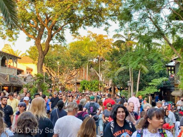 , Disneyland Update – Packed! Huge Crowds Return to Disneyland