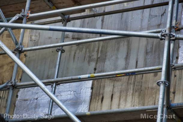 , Disneyland Update – Packed! Huge Crowds Return to Disneyland
