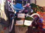 Frozen-Fan-Fest-kids-bicycle