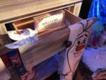 Frozen-Fan-Fest-williams-sonoma