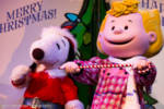 IMG_0739-768×512