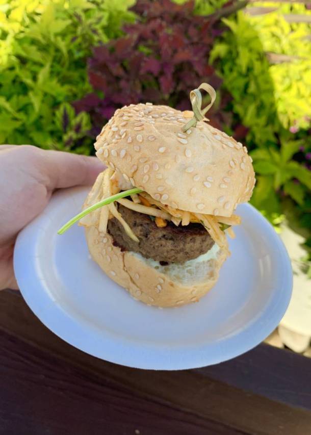 , Favorite Flavors of Epcot&#8217;s 2019 Food &#038; Wine Festival