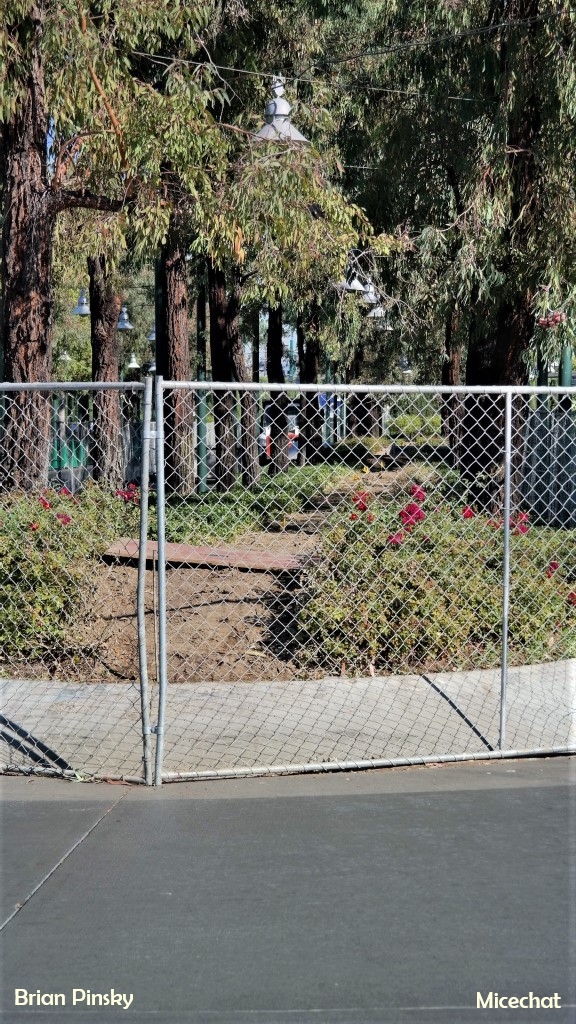 , Disneyland Update Part 2 – Not So Fast Pass