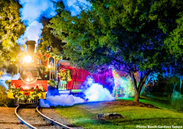 , Busch Gardens Tampa Delivers Lights, Sights, and Heights for Christmas