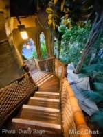 Disneyland-News-Adventureland-Tarzan-Treehouse-Stairs-down