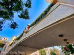 Disneyland-News-Buena-Vista-Street-2