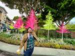 Disneyland-News-Christmas-Downtown-Disney-Trees-tall