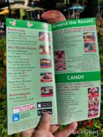 Disneyland-News-Christmas-Treat-Guide-3