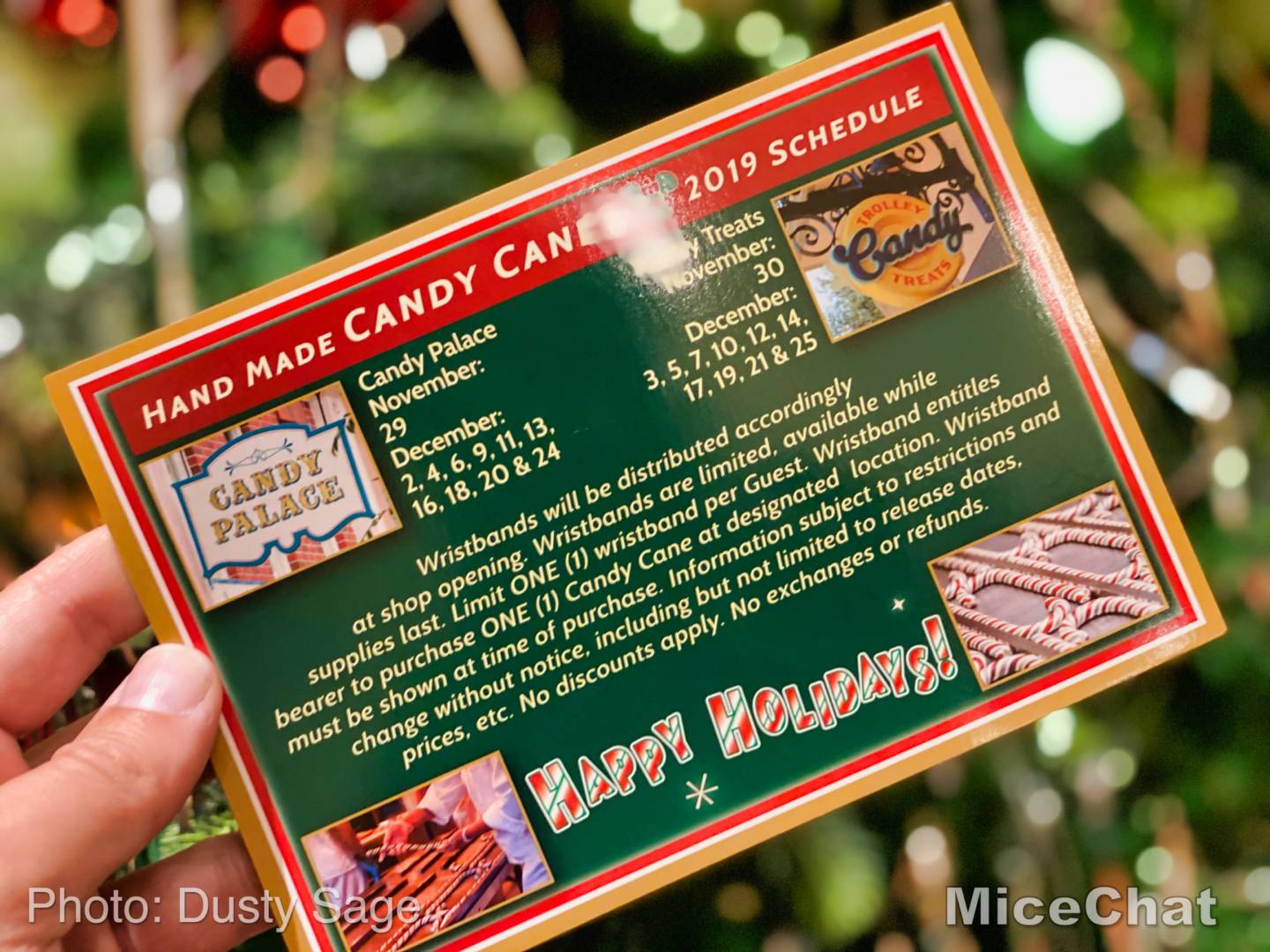 , Disneyland Update &#8211; Candlelight, Candy Canes &#038; Resistance Rising!