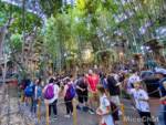 Disneyland-News-Crowds-Indy-Queue