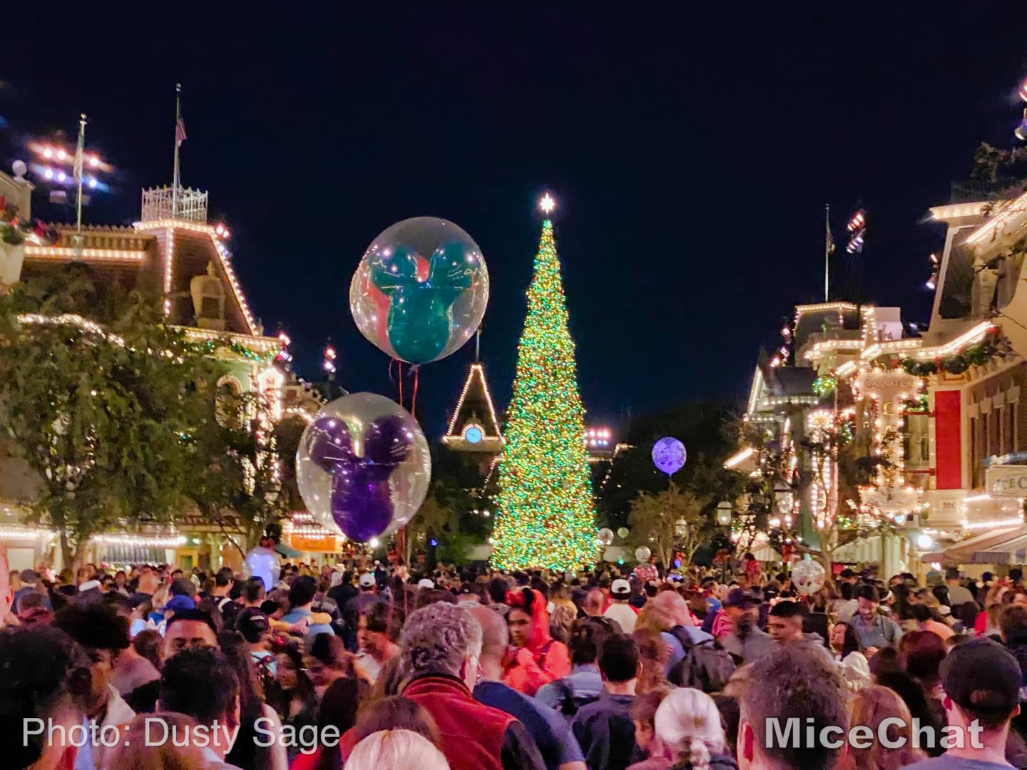 , Disneyland Update: Treehouse Troubles, Christmas Crush & Cast Member Cheap-out