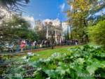 Disneyland-News-Crowds-Mansion