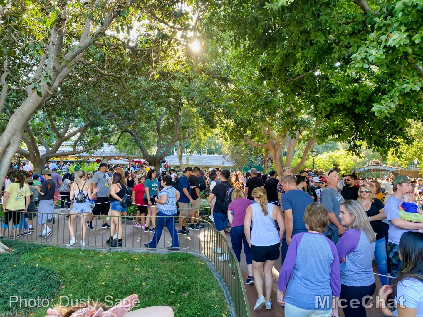 , Disneyland Update: Treehouse Troubles,  Christmas Crush & Cast Member Cheap-out