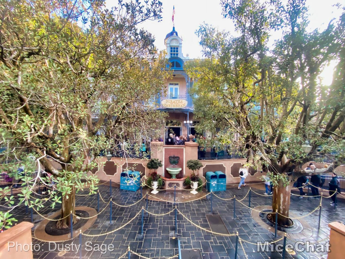 , Disneyland News – Black Friday Surprise Update