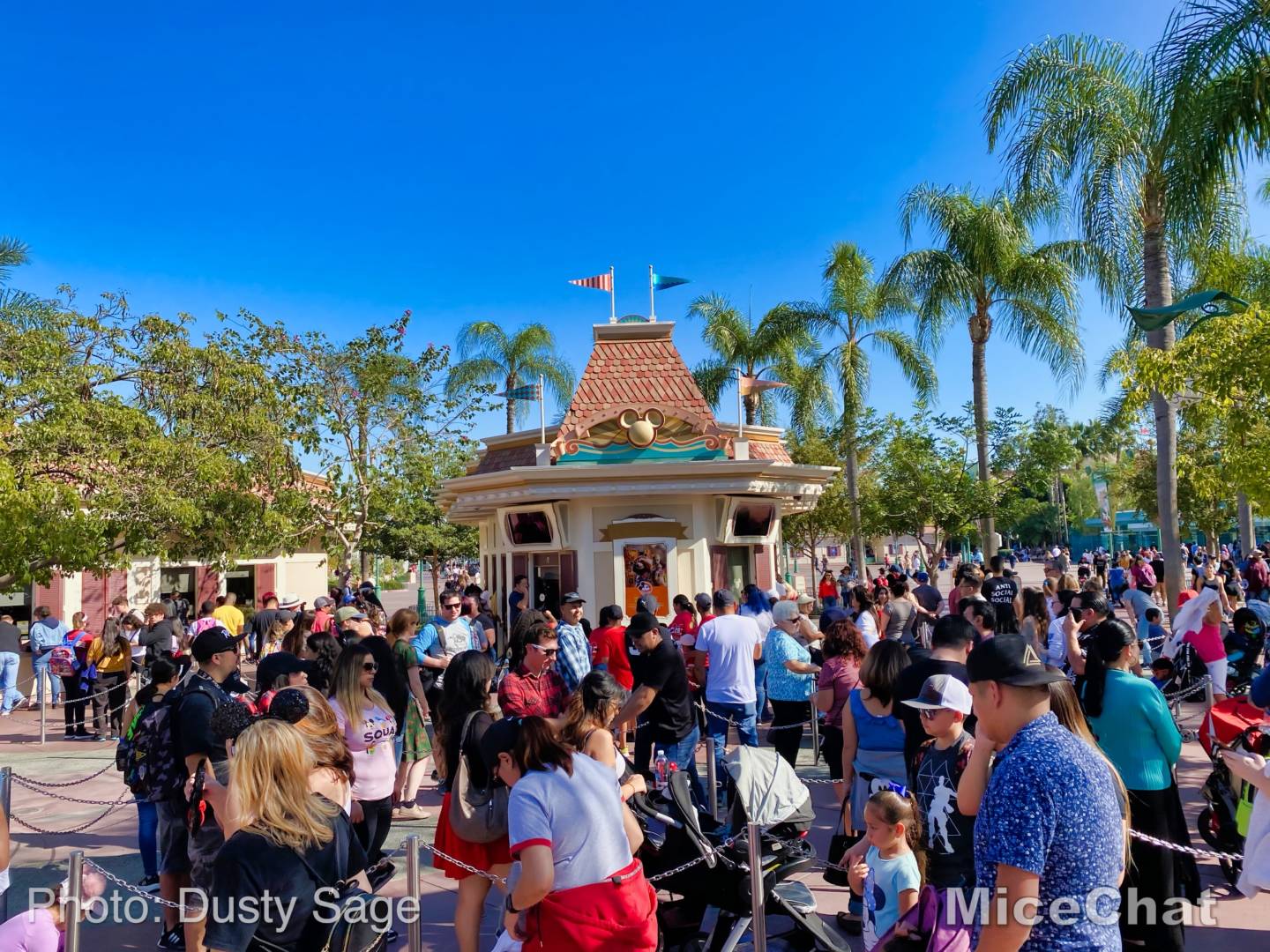 , Disneyland Update: Treehouse Troubles,  Christmas Crush & Cast Member Cheap-out