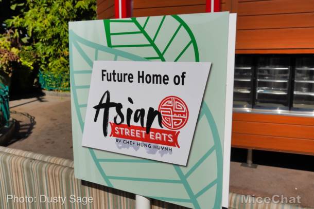 , Disneyland Update Part 2 – Not So Fast Pass