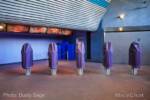 Disneyland-News-DSC03082