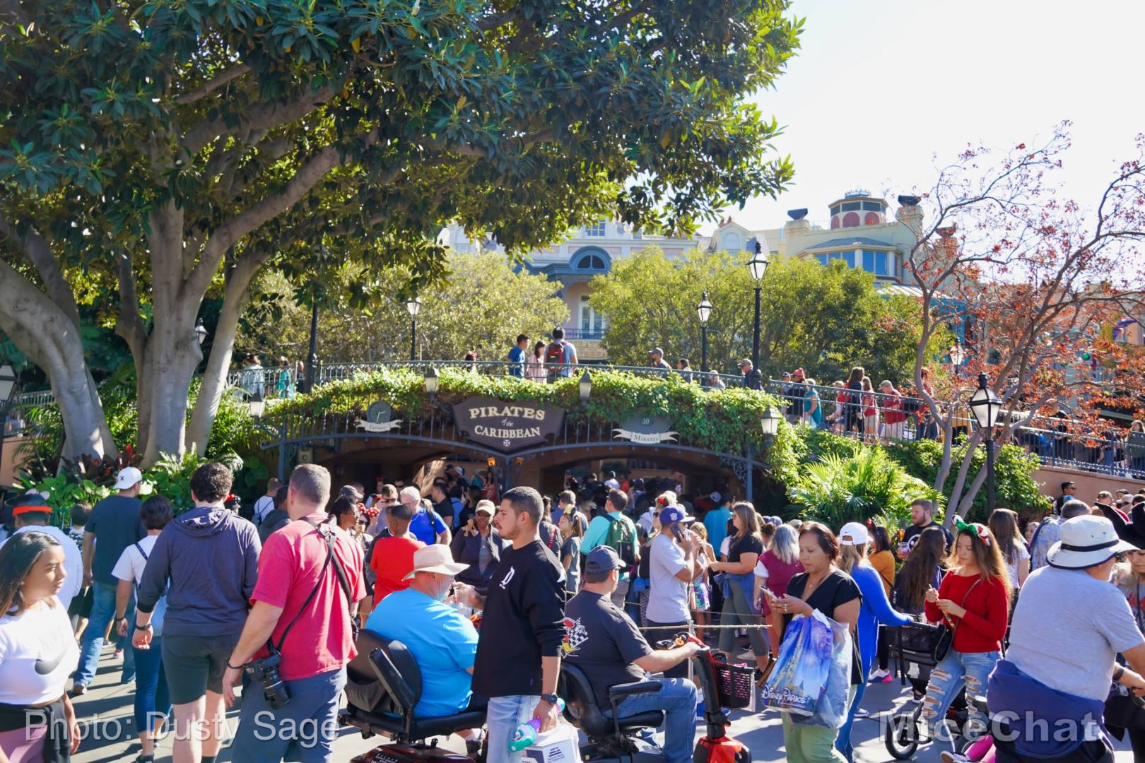 , Disneyland Update Part 2 – Not So Fast Pass