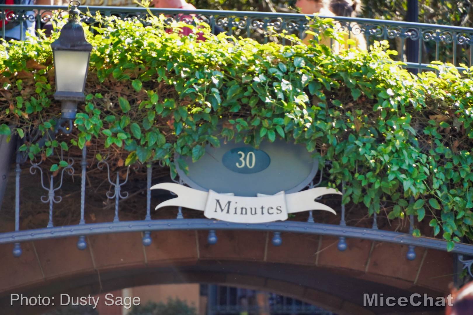 , Disneyland Update Part 2 &#8211; Not So Fast Pass