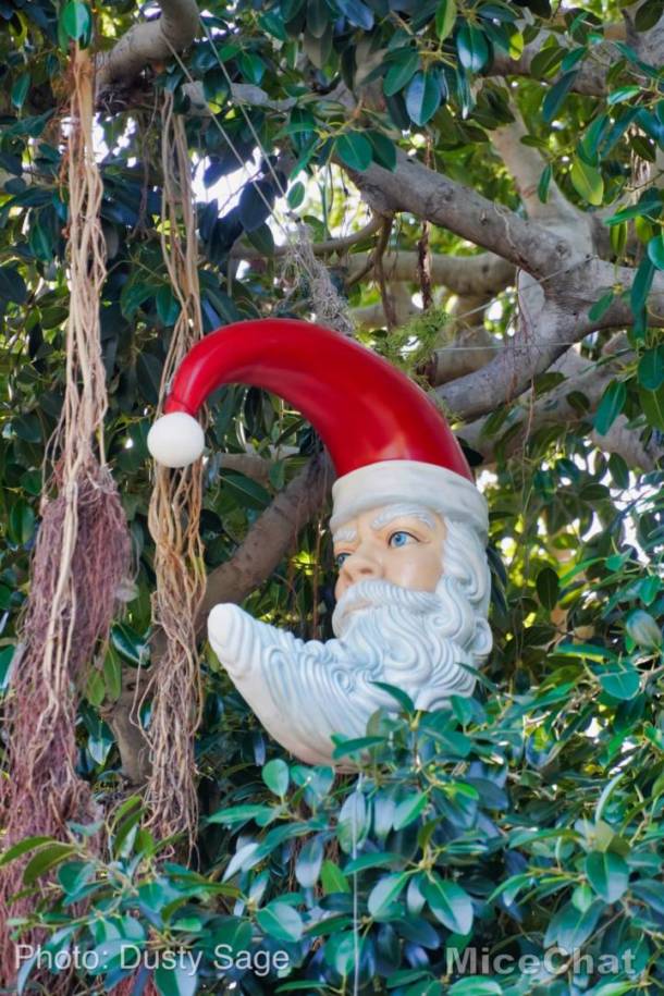 , Disneyland Update – Unpacking the Holidays for 2019