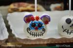Disneyland-News-DSC03180