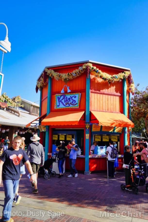 , Disneyland Update – Unpacking the Holidays for 2019