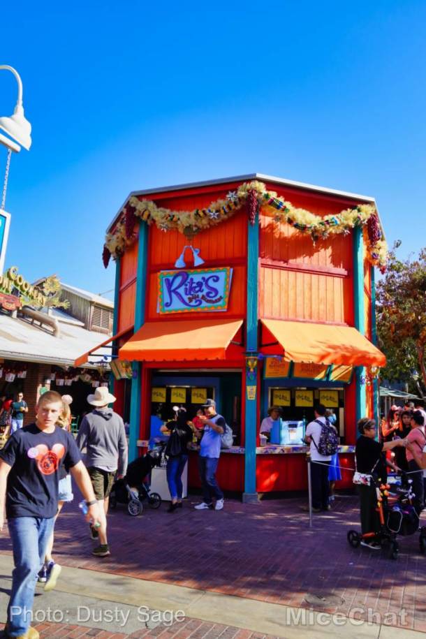 , Disneyland Update &#8211; Unpacking the Holidays for 2019