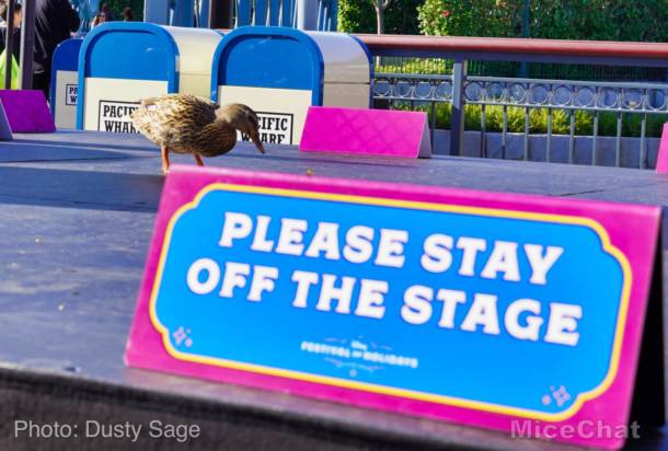 , Disneyland Update – Unpacking the Holidays for 2019
