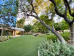 Disneyland-News-Disneyland-Hotel-Lawn-1