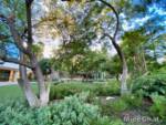 Disneyland-News-Disneyland-Hotel-Lawn-2