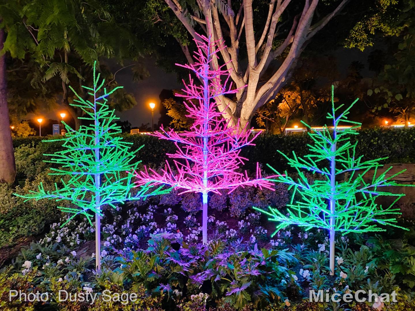 , Disneyland Update – Holiday Hopes and Humbugs