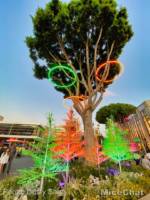 Disneyland-News-Downtown-Disney-Orange-Green