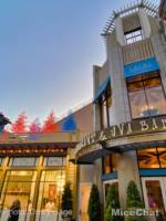 Disneyland-News-Downtown-Disney-Trees-Catal