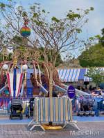 Disneyland-News-Fantasyland-Trees-2