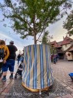 Disneyland-News-Fantasyland-Trees-3