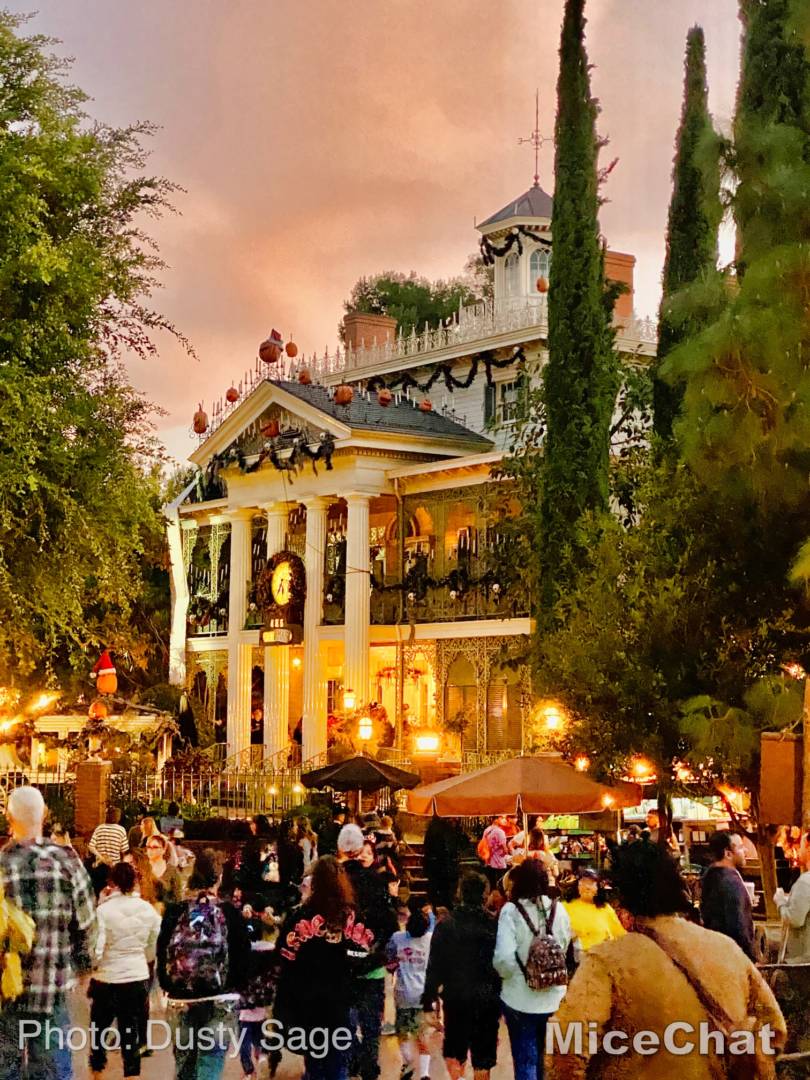 , Disneyland Update – Popping In and Bugging Out