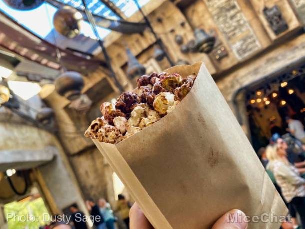 , Disneyland Update Part 2 – Not So Fast Pass