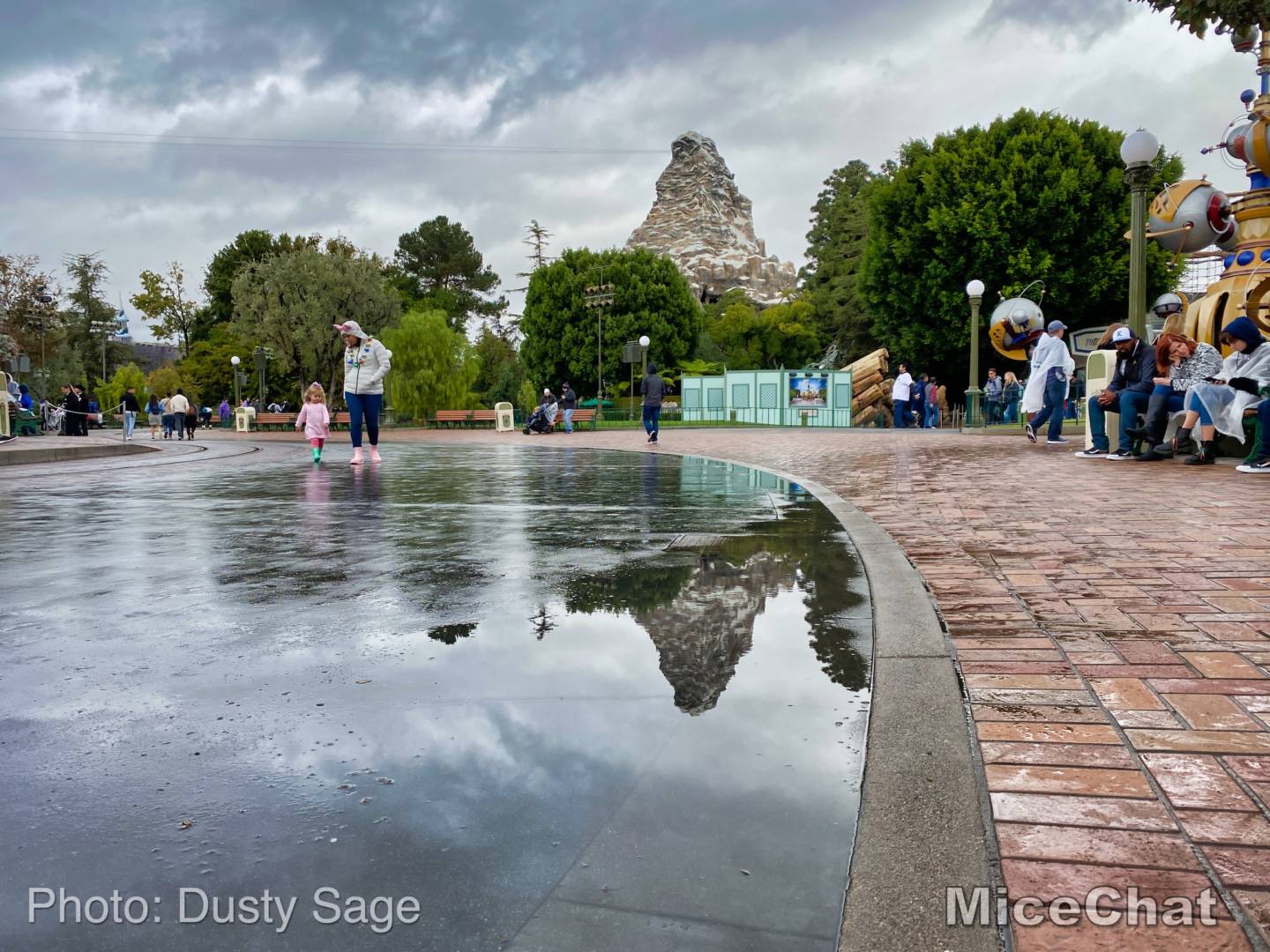 , Disneyland News – Black Friday Surprise Update