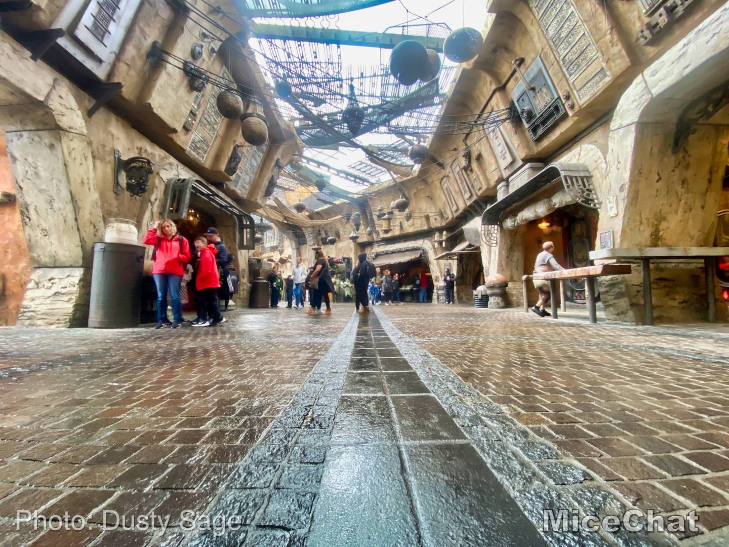 , Disneyland News – Black Friday Surprise Update