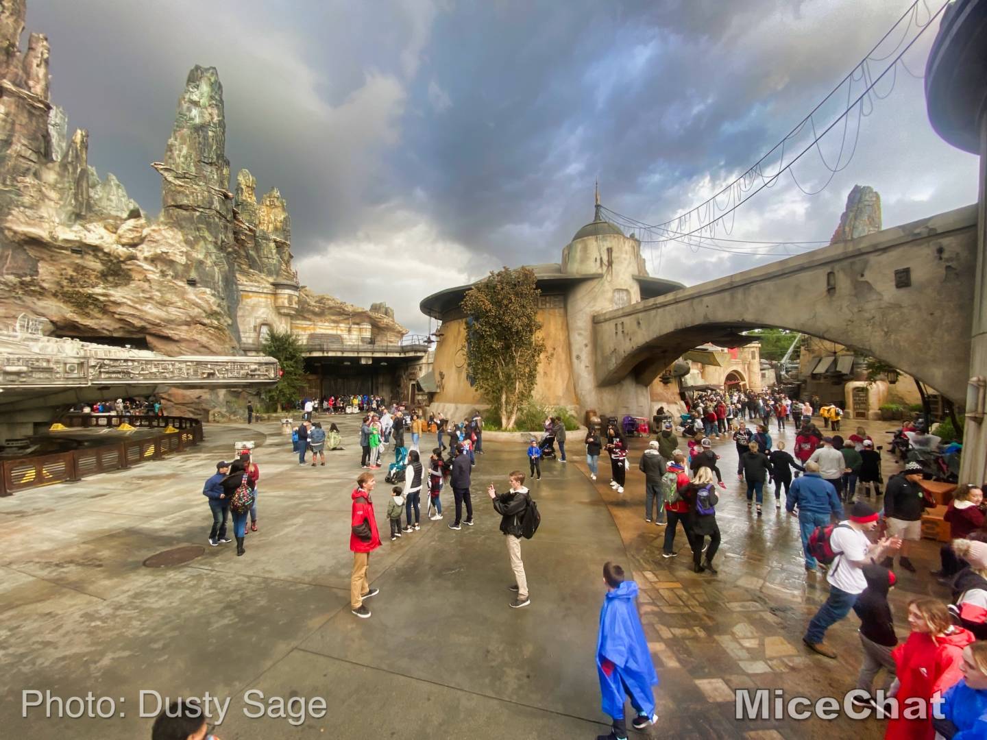 , Disneyland News – Black Friday Surprise Update